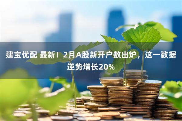 建宝优配 最新！2月A股新开户数出炉，这一数据逆势增长20%