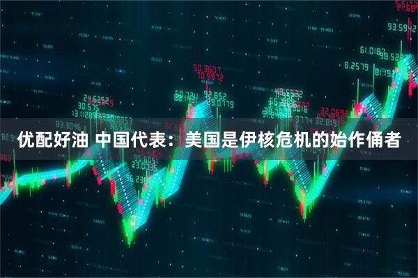 优配好油 中国代表：美国是伊核危机的始作俑者