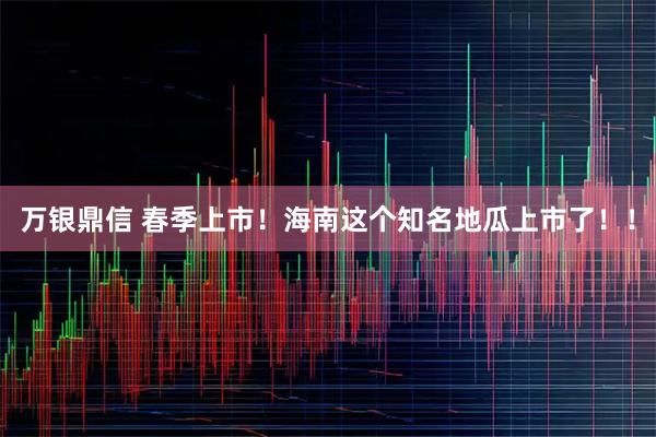 万银鼎信 春季上市！海南这个知名地瓜上市了！！
