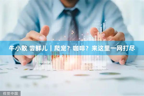牛小散 尝鲜儿｜爬宠？咖啡？来这里一网打尽