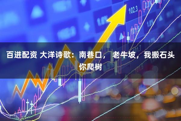 百进配资 大洋诗歌：南巷口， 老牛坡，我搬石头你爬树