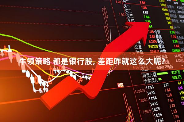 牛领策略 都是银行股, 差距咋就这么大呢?