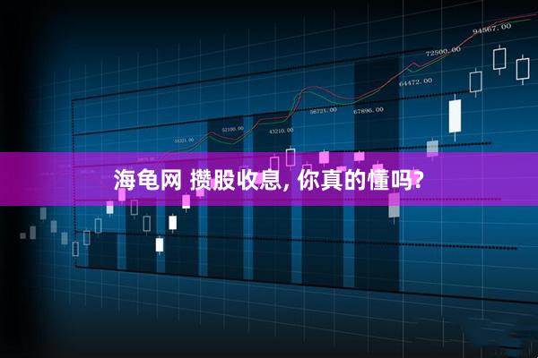 海龟网 攒股收息, 你真的懂吗?