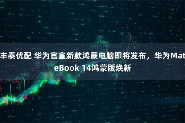 丰泰优配 华为官宣新款鸿蒙电脑即将发布，华为MateBook 14鸿蒙版焕新