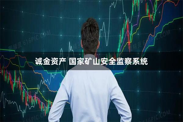 诚金资产 国家矿山安全监察系统