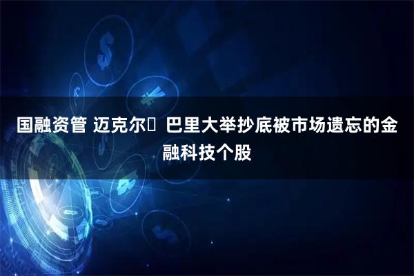 国融资管 迈克尔・巴里大举抄底被市场遗忘的金融科技个股