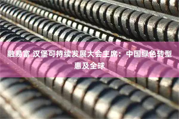 融易富 汉堡可持续发展大会主席：中国绿色转型惠及全球