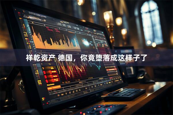 祥乾资产 德国，你竟堕落成这样子了