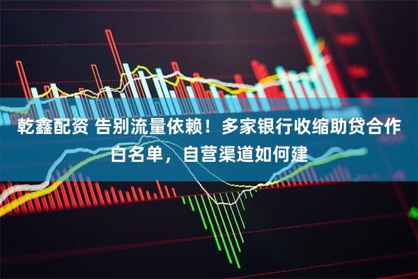 乾鑫配资 告别流量依赖！多家银行收缩助贷合作白名单，自营渠道如何建